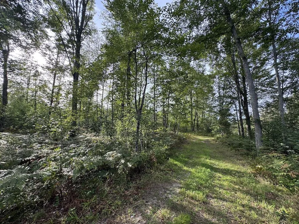 5045 M30 Butman Township, MI 48624