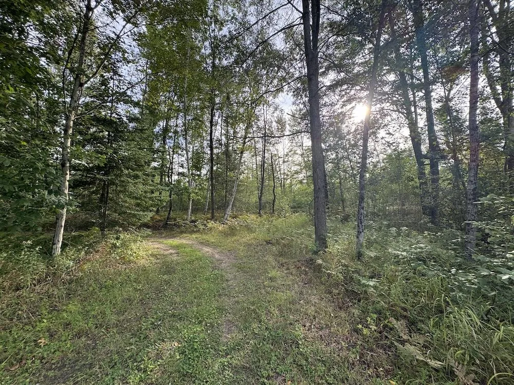 5045 M30 Butman Township, MI 48624