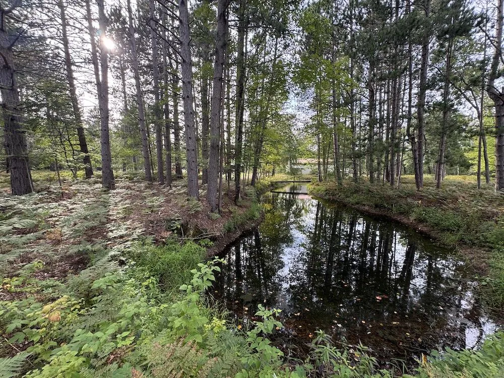 5045 M30 Butman Township, MI 48624