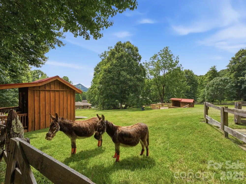 65 Airish Lane Waynesville, NC 28785