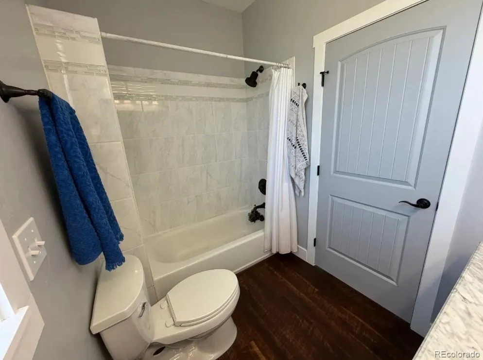 31300 Glenview Drive Buena Vista, CO 81211