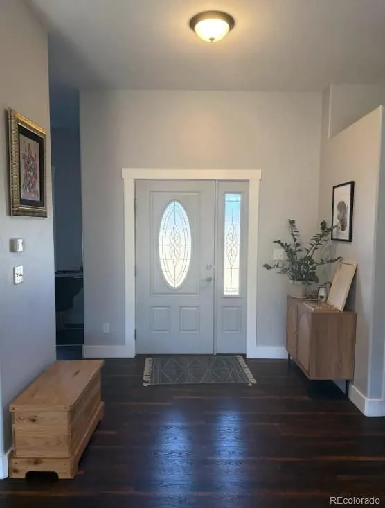 31300 Glenview Drive Buena Vista, CO 81211