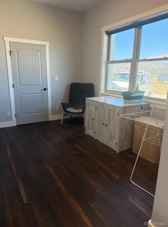 31300 Glenview Drive Buena Vista, CO 81211