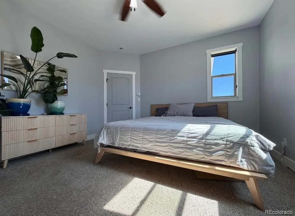 31300 Glenview Drive Buena Vista, CO 81211