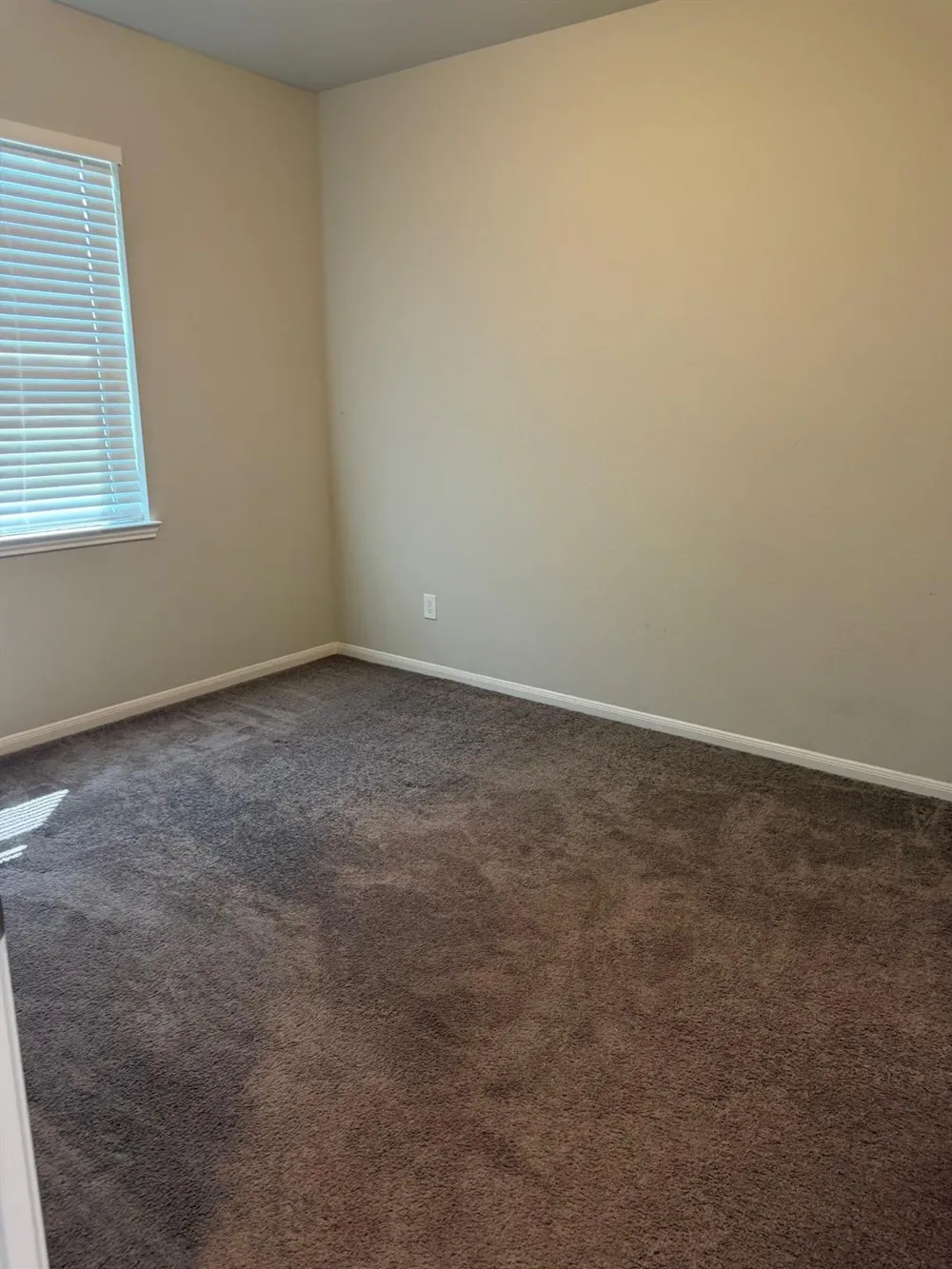 4210 Reese Ravine Lane Katy, TX 77493