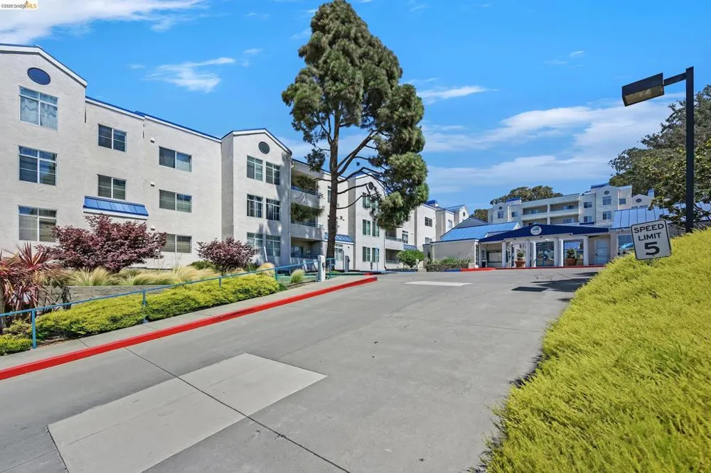 535 Pierce Street #1300 Albany, CA 94706