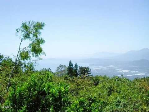 Ocean View Road