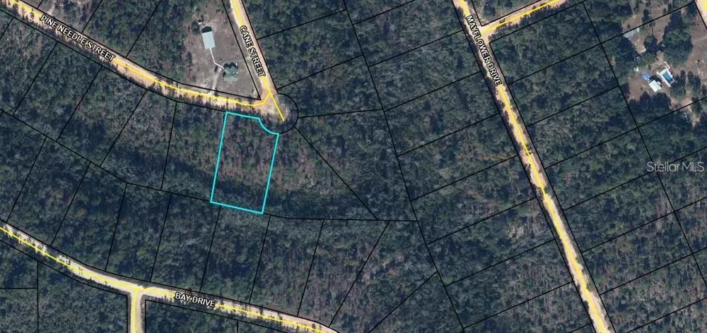 TBD PINE NEEDLE STREET Marianna, FL 32448