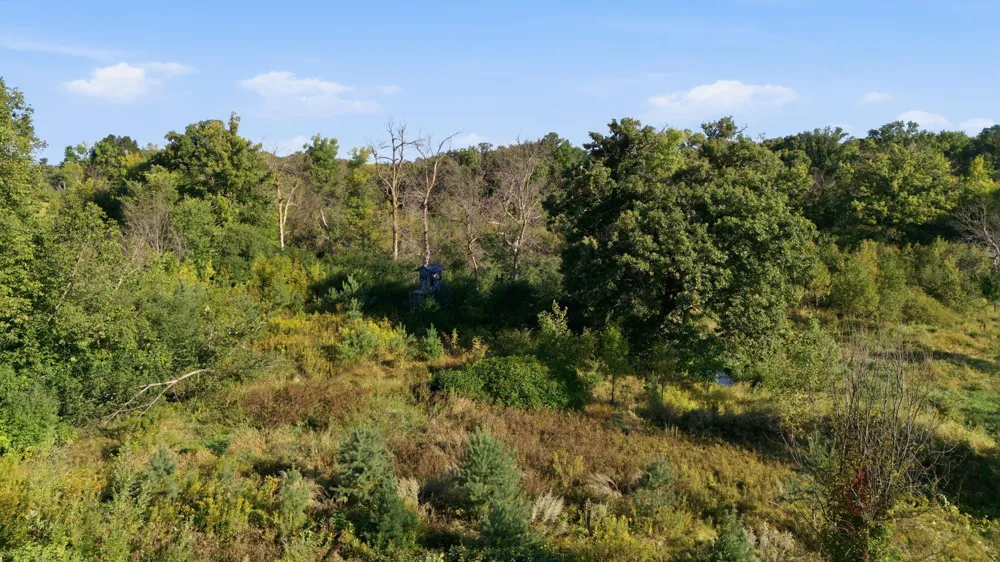 5542 140th Street Milaca, MN 56353