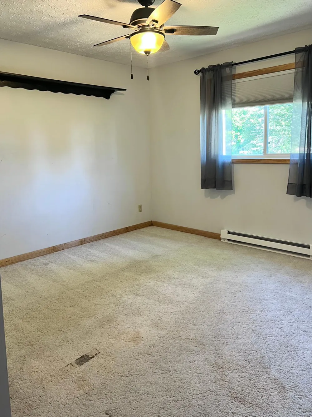 11096 County Highway 17 Detroit Lakes, MN 56501