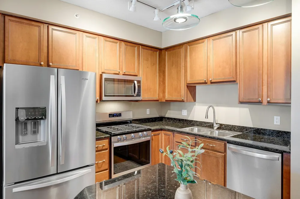 500 E Grant Street #709 Minneapolis, MN 55404