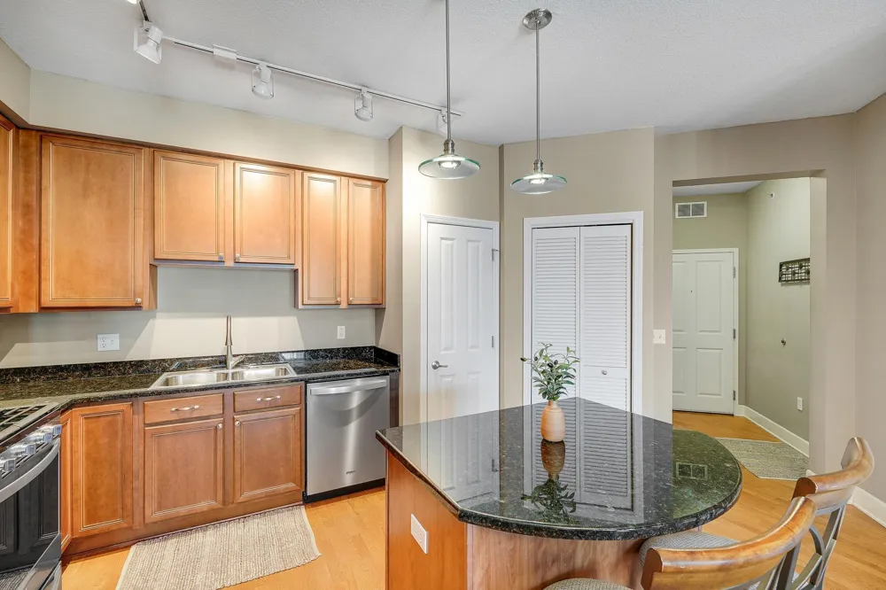 500 E Grant Street #709 Minneapolis, MN 55404