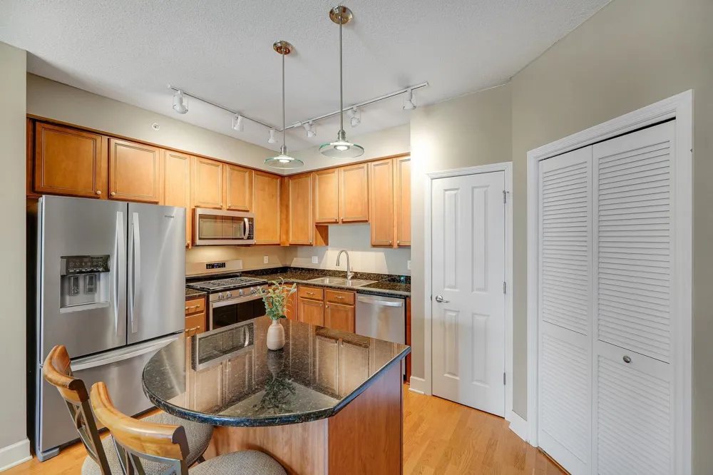 500 E Grant Street #709 Minneapolis, MN 55404