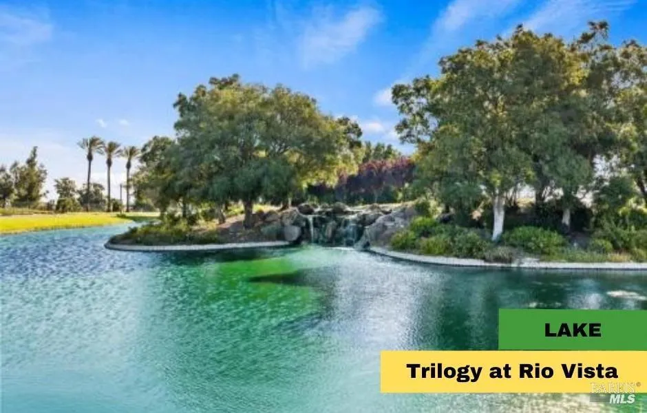 412 Saddle Rock Lane Rio Vista, CA 94571