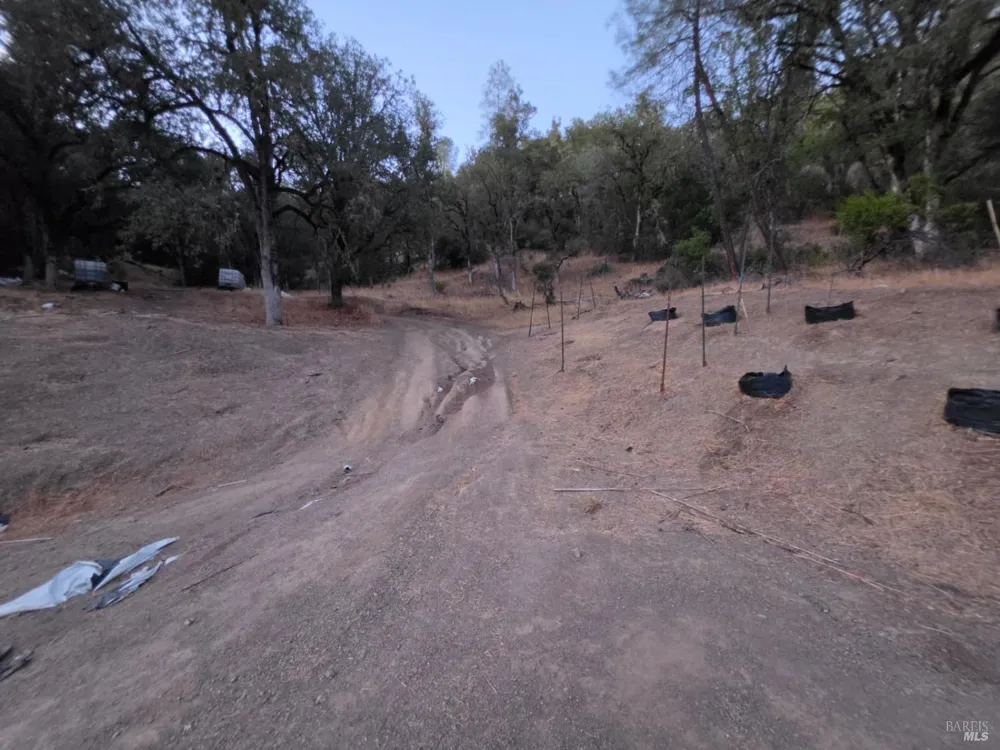 20655 Pigeon Ridge Road Covelo, CA 95428