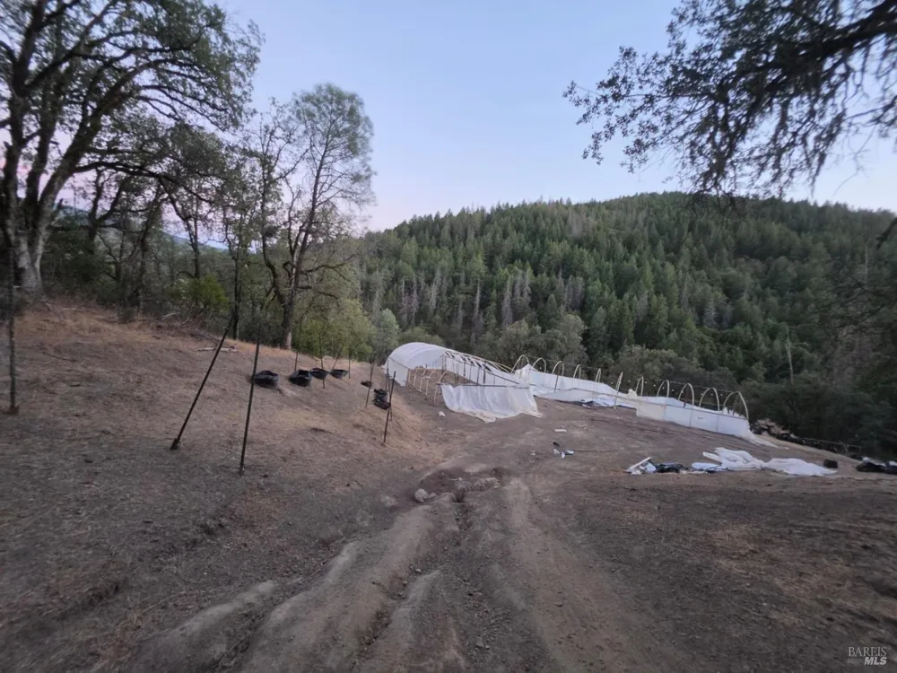 20655 Pigeon Ridge Road Covelo, CA 95428