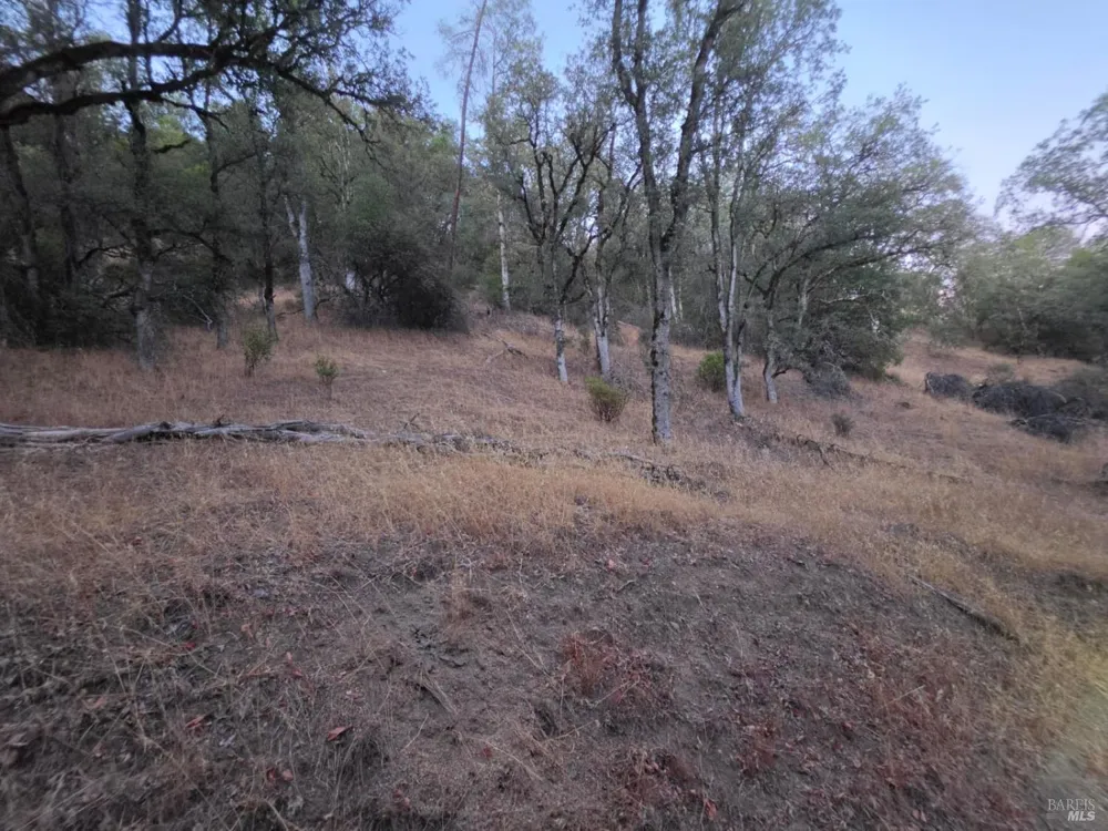 20655 Pigeon Ridge Road Covelo, CA 95428