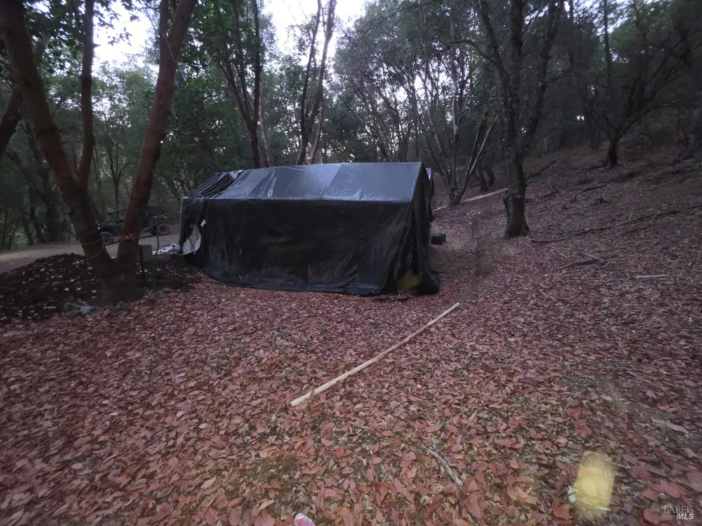 20655 Pigeon Ridge Road Covelo, CA 95428