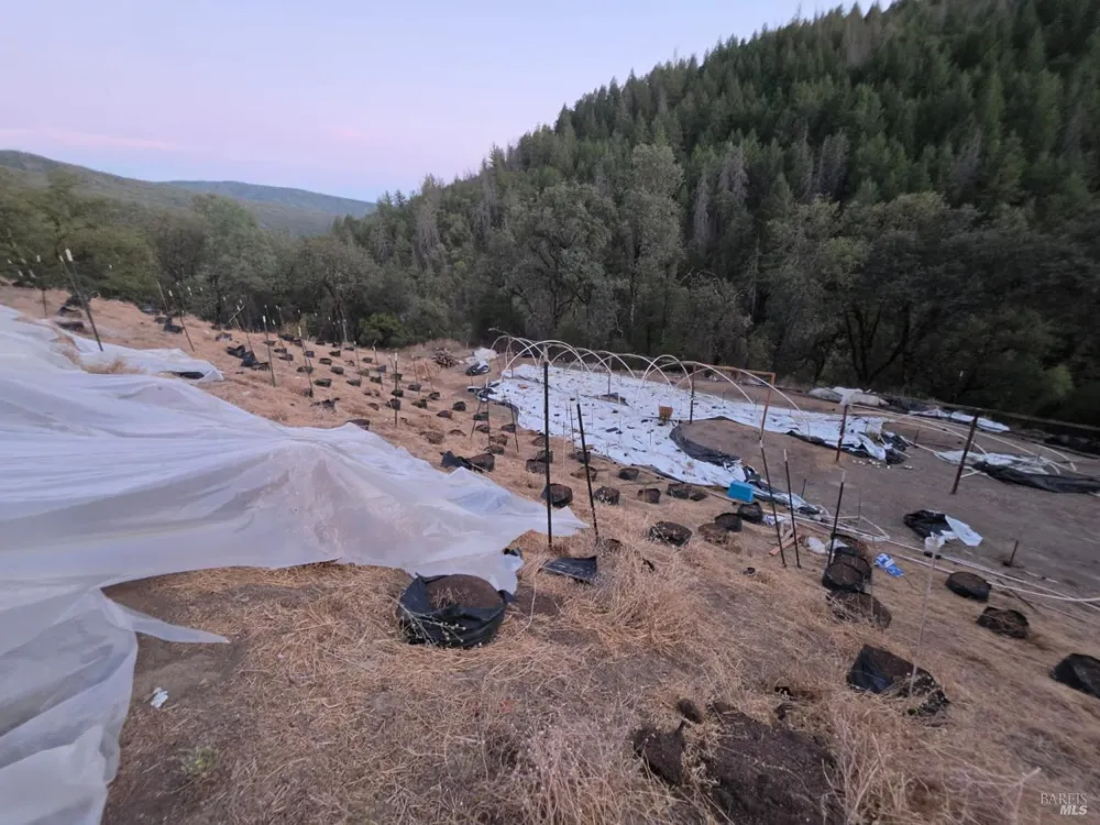 20655 Pigeon Ridge Road Covelo, CA 95428