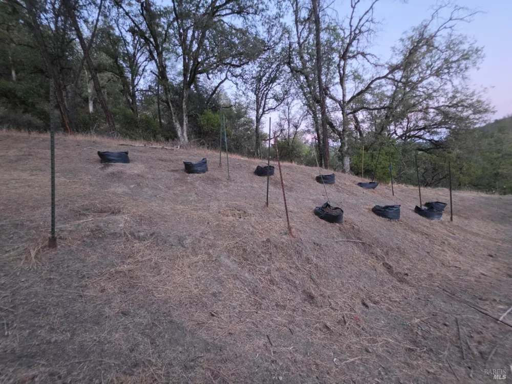 20655 Pigeon Ridge Road Covelo, CA 95428