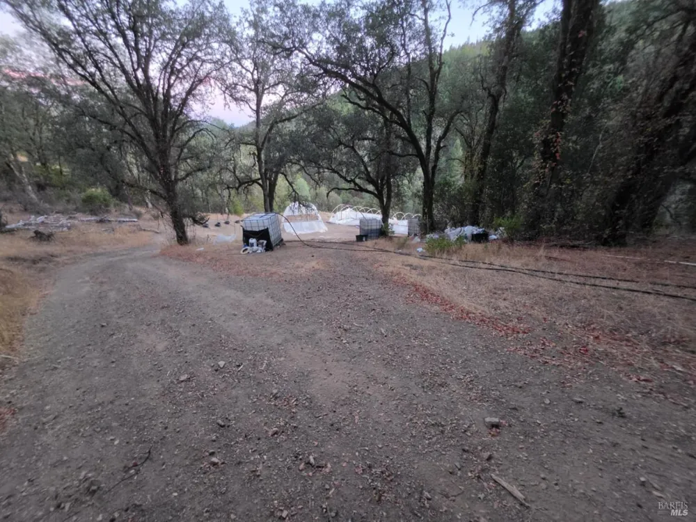 20655 Pigeon Ridge Road Covelo, CA 95428