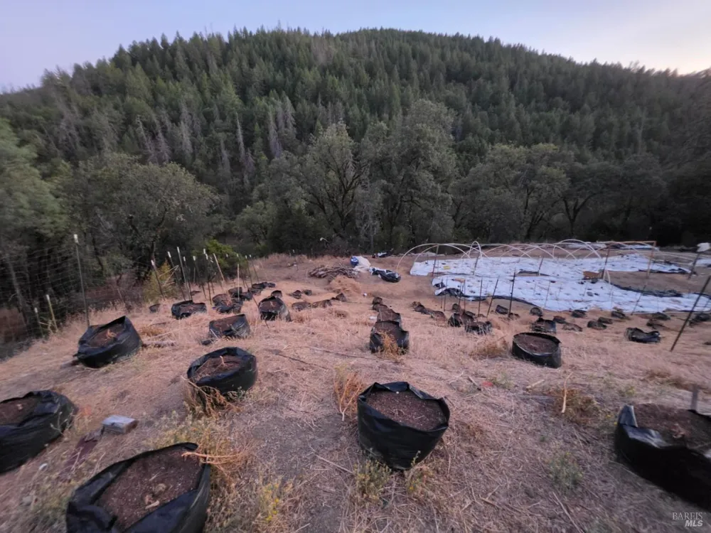 20655 Pigeon Ridge Road Covelo, CA 95428