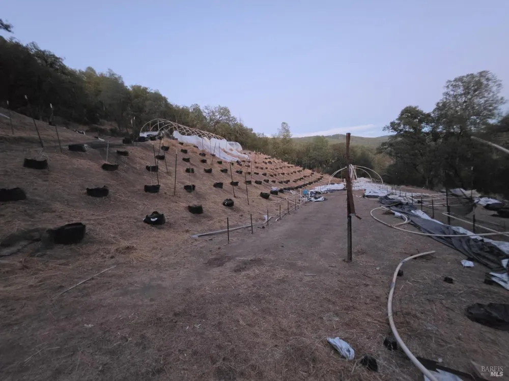 20655 Pigeon Ridge Road Covelo, CA 95428