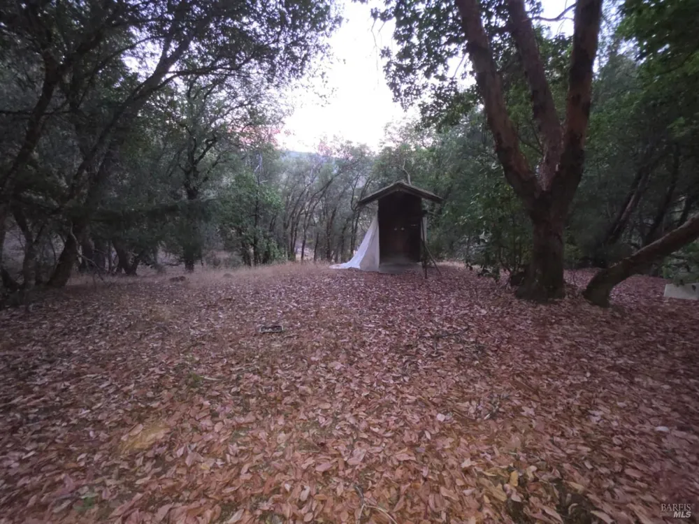 20655 Pigeon Ridge Road Covelo, CA 95428