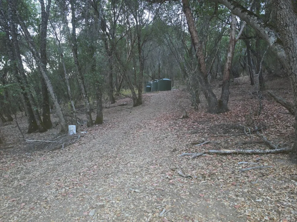 20655 Pigeon Ridge Road Covelo, CA 95428
