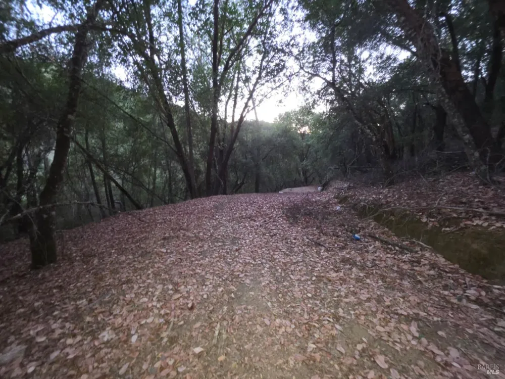 20655 Pigeon Ridge Road Covelo, CA 95428