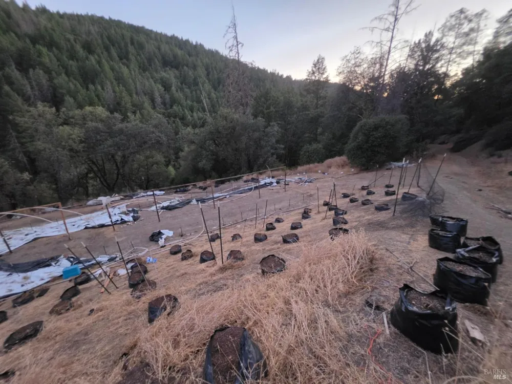 20655 Pigeon Ridge Road Covelo, CA 95428