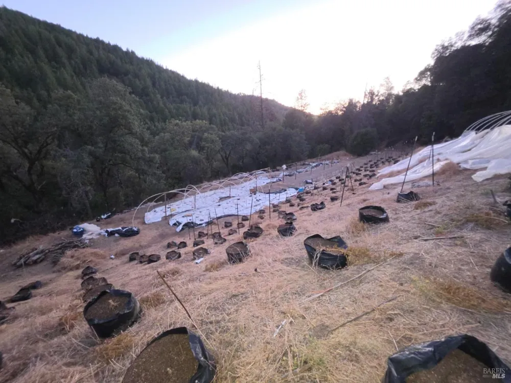 20655 Pigeon Ridge Road Covelo, CA 95428