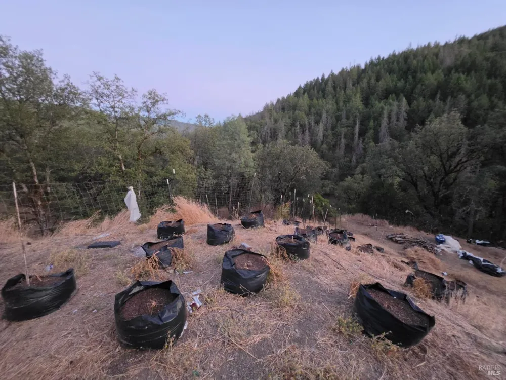 20655 Pigeon Ridge Road Covelo, CA 95428