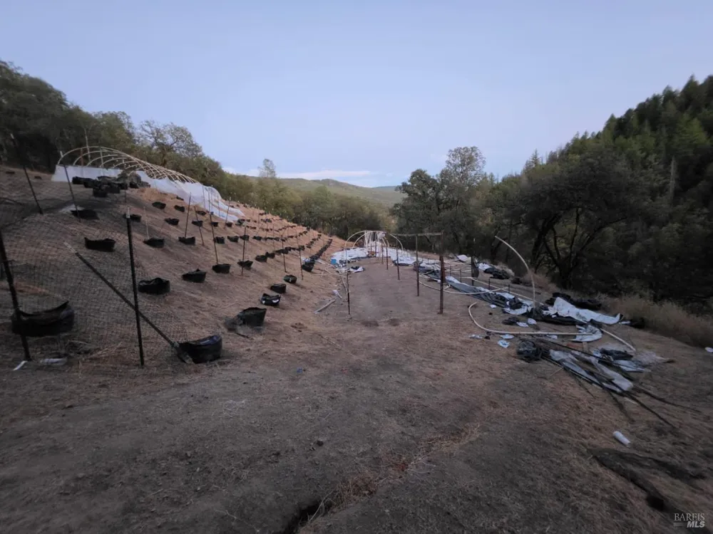 20655 Pigeon Ridge Road Covelo, CA 95428