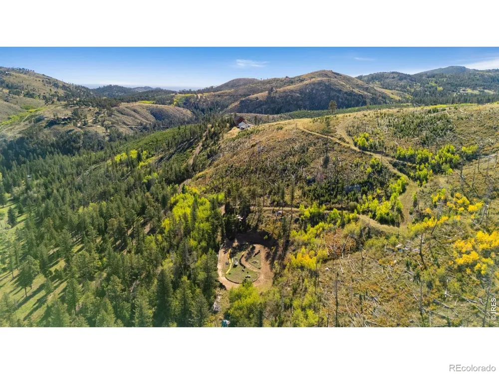 646 Stormy Peaks Drive Bellvue, CO 80512