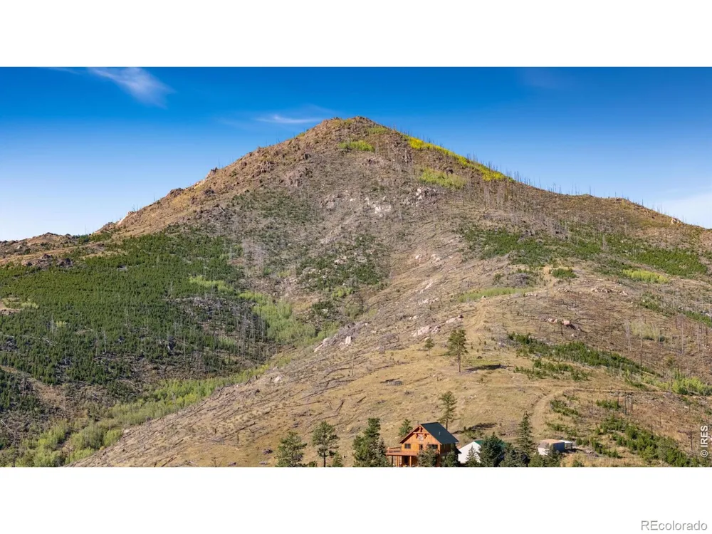 646 Stormy Peaks Drive Bellvue, CO 80512