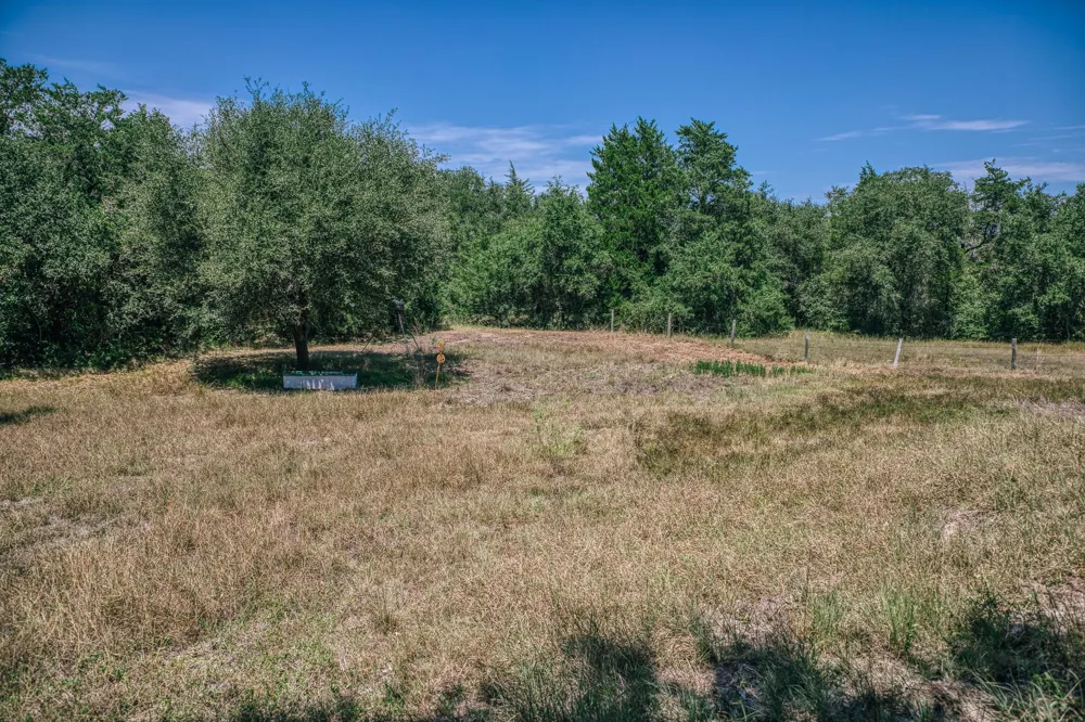 5003 Rocky Creek Manor Burton, TX 77835