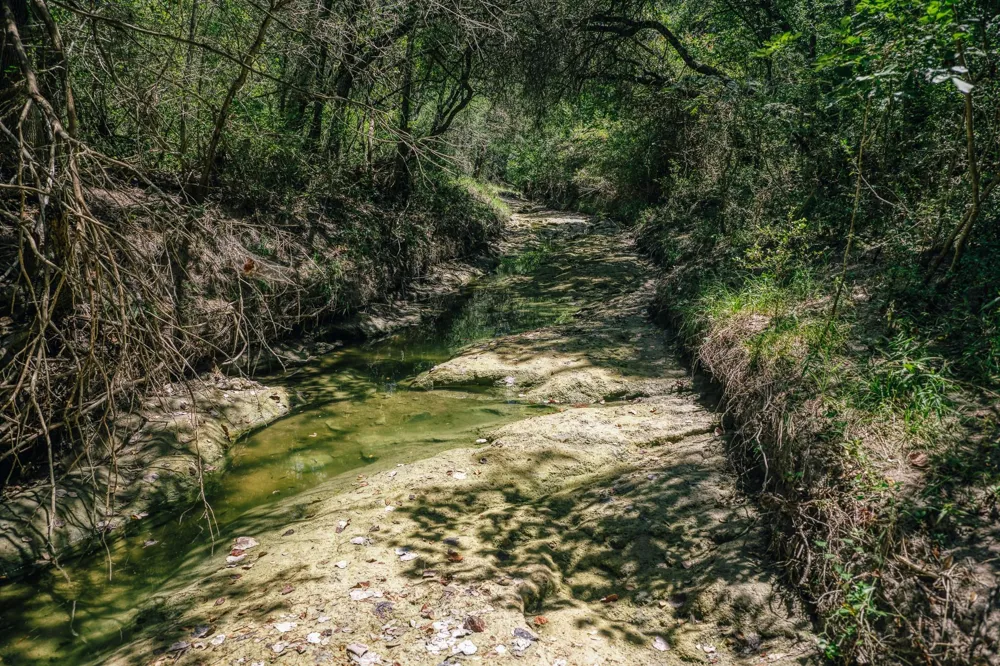 5003 Rocky Creek Manor Burton, TX 77835