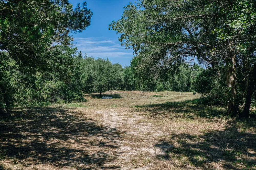 5003 Rocky Creek Manor Burton, TX 77835