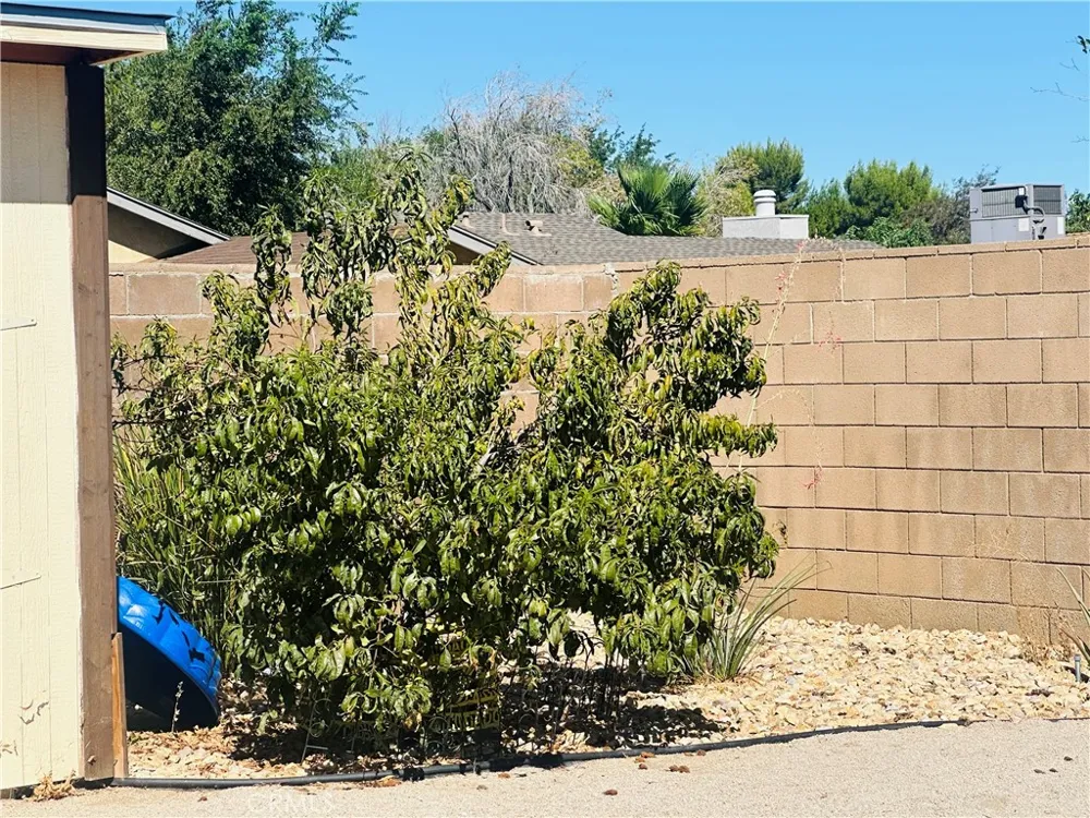 44419 Watford Ave Lancaster, CA 93535