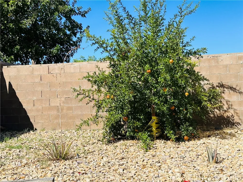 44419 Watford Ave Lancaster, CA 93535