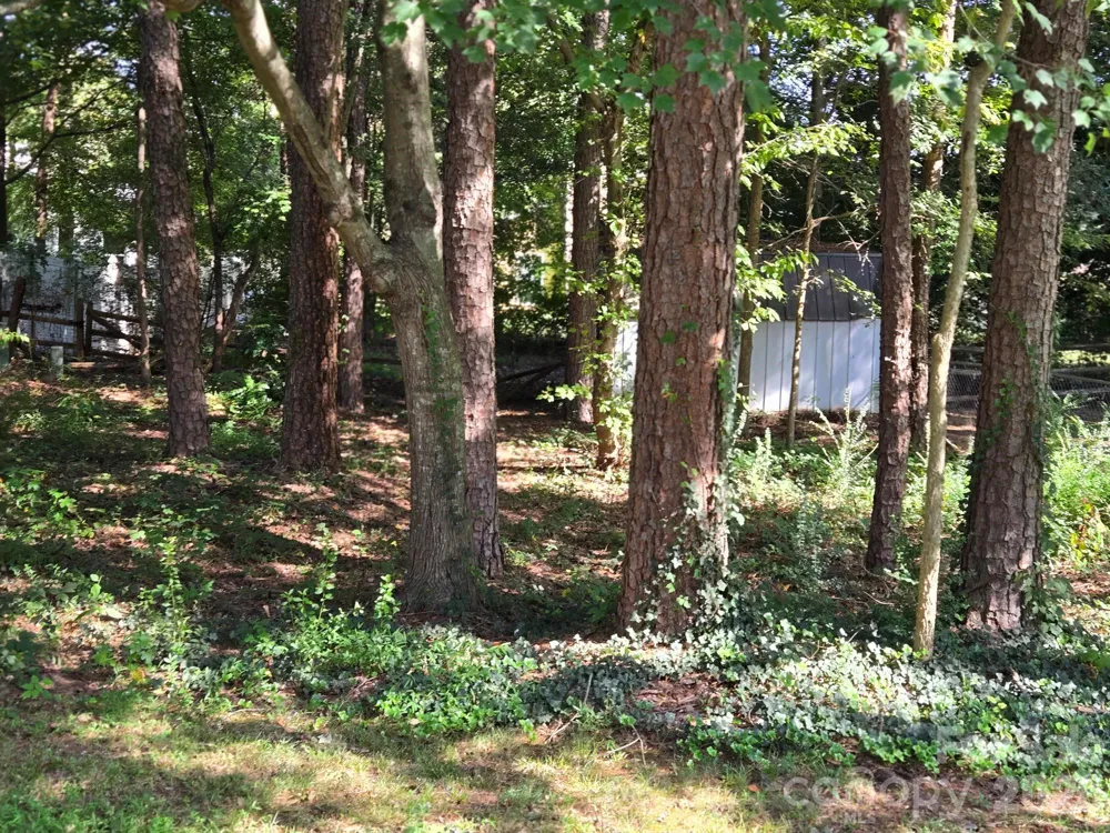 6214 Elkington Lane Mint Hill, NC 28227