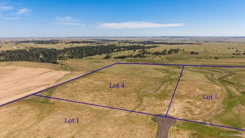 Lot 3 County Road 124
