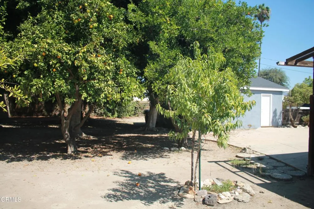 41 Fremont Avenue Moorpark, CA 93021