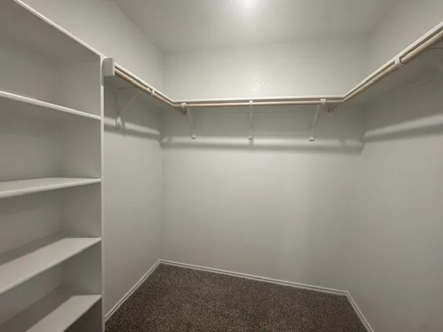 190 Celosia Loop Kyle, TX 78640