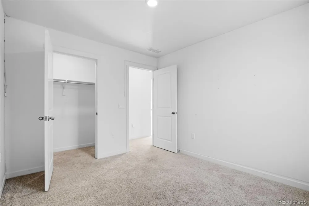691 Allium Street Watkins, CO 80137