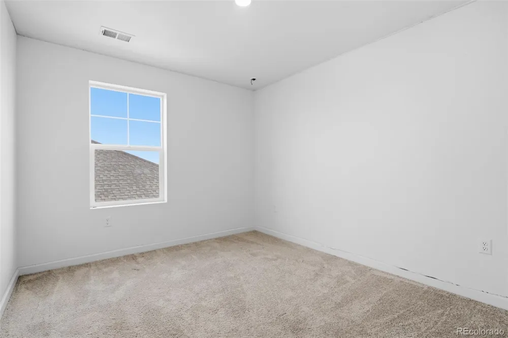 691 Allium Street Watkins, CO 80137