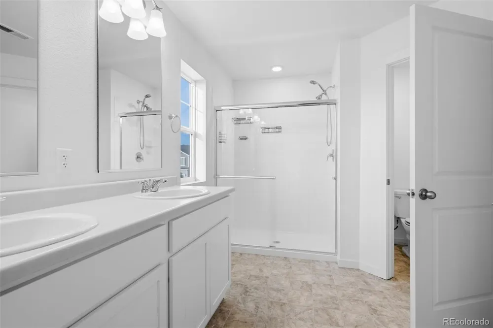 691 Allium Street Watkins, CO 80137