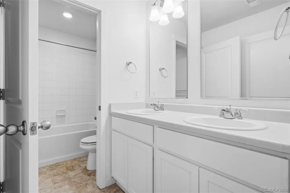 691 Allium Street Watkins, CO 80137