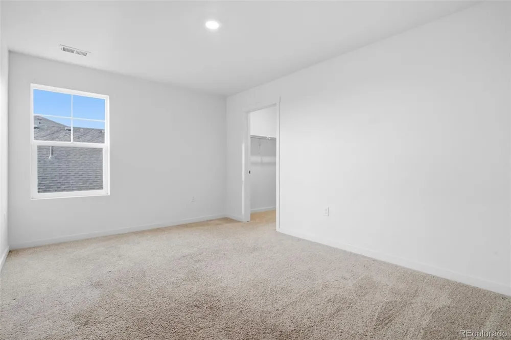 691 Allium Street Watkins, CO 80137
